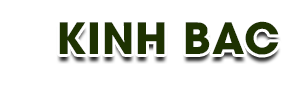 Công Ty TNHH Đầu Tư Thương Mại Xuất Nhập Khẩu Kinh Bắc