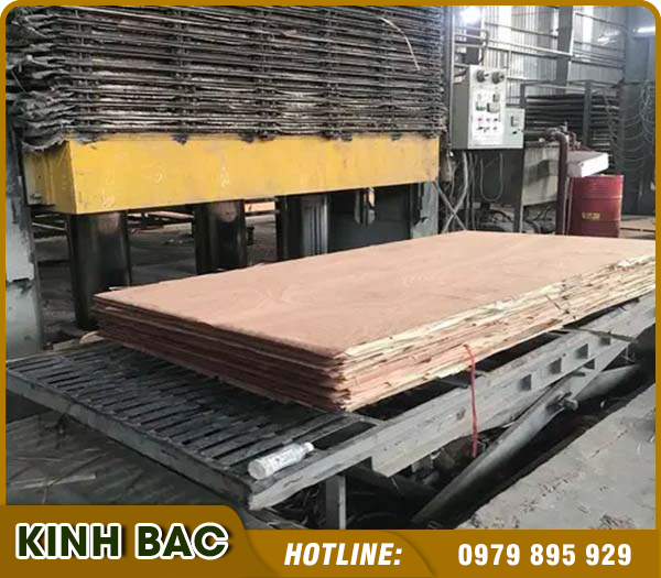Công Ty TNHH Đầu Tư Thương Mại Xuất Nhập Khẩu Kinh Bắc