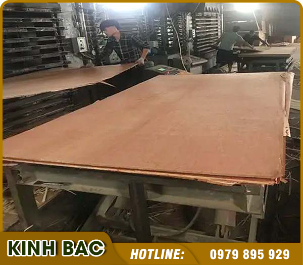 Công Ty TNHH Đầu Tư Thương Mại Xuất Nhập Khẩu Kinh Bắc